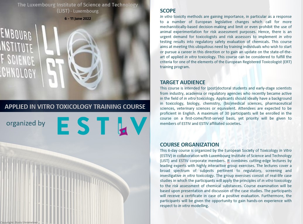 In Vitro Toxicological Investigation and Risk Assessment of E